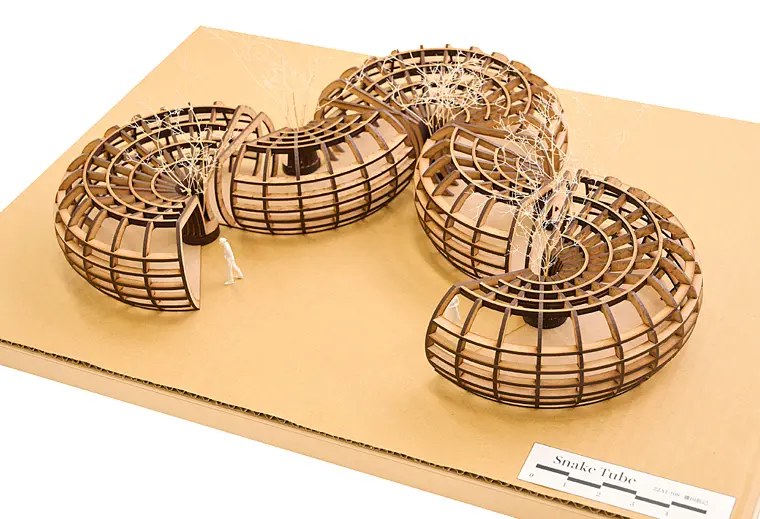 齊藤先生が担当する建築デザインスタジオにおいて「架構」をテーマに制作。レーザーカッターを用いて造形の美しさにこだわった。